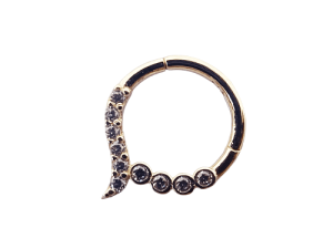 פירסינג אבנים כוס ושיניים מזהב 14K