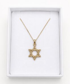 שרשרת מגן דוד זהב 14K - שרשרת תליון מגן דוד בעבודת טקסטורה מרהיבה